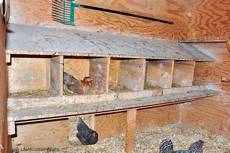 All You Need To Know About Chicken Coop Nesting Boxes Life At Cobble