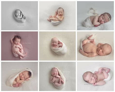 Newborn Posing Reference Guide The Milky Way A Photographers Resource