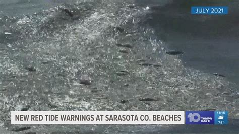 Sarasota County Reimplements Red Tide Warnings For Some Beaches