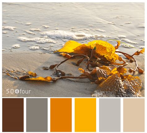 Quilternitys Place Seaweed Color Palette
