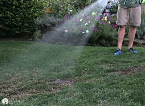 In lawns on compacted clay soil where water does not penetrate easily, consider aerifying the lawn. When to Reseed Lawn and Tips for Reseeding | Today's Creative Life
