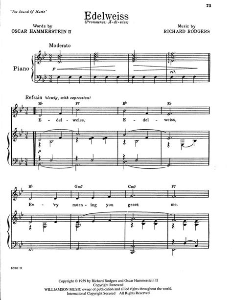 You're not going to find justin bieber's latest hit. Pianoshelf c87dd218 fa87 11e6 bafc 0242ac120005 1 free sheet music by Rogers and Hammerstein ...