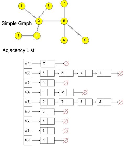 Graph Theory Basics