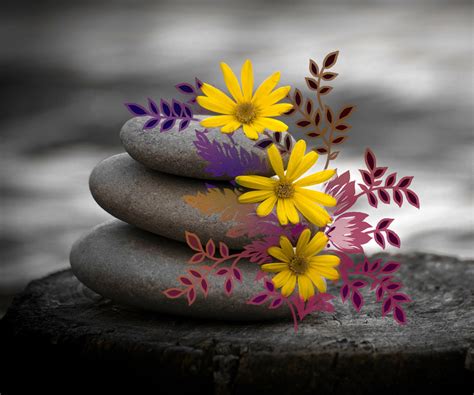 Stones And Flowers By Samantha800 On DeviantArt