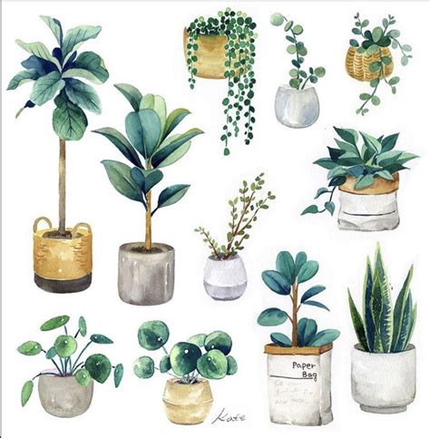 Watercolor Plants Watercolor Cards Watercolour Painting Plant