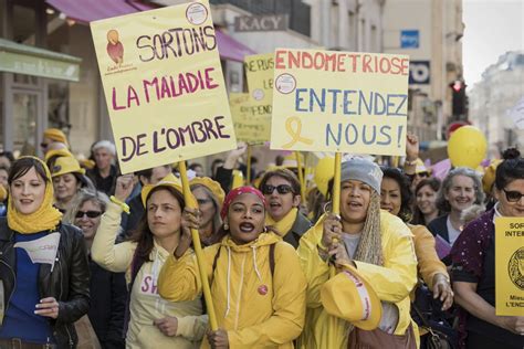 Lendométriose Combat Féministe Et Politique