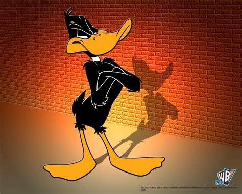 Daffy Duck Wallpapers Wallpaper Cave