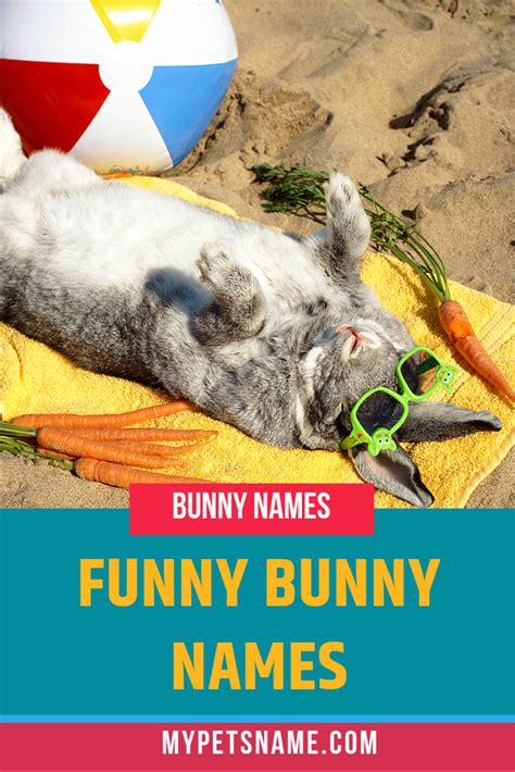 If You Are Looking For A Funny Bunny Name Such As A Rabbit Related Pun