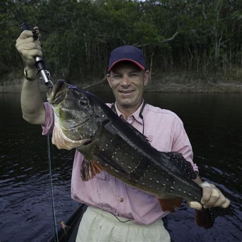 These fishing resorts in georgia generally allow pets: Hotels Near Weiss Lake in Cherokee County, AL | USA Today