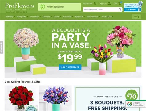 Instead of flowers promo code. Proflowers Coupons & Proflowers.com Coupon Codes & Free ...