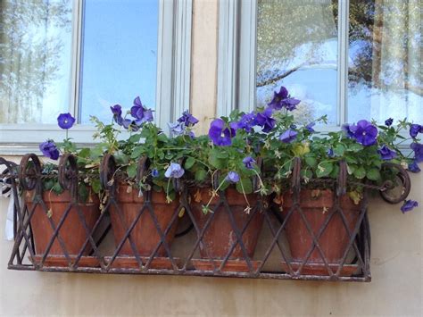 Wrought Iron Window Box Planter Window Box Flowers Flower Boxes Iron Planters