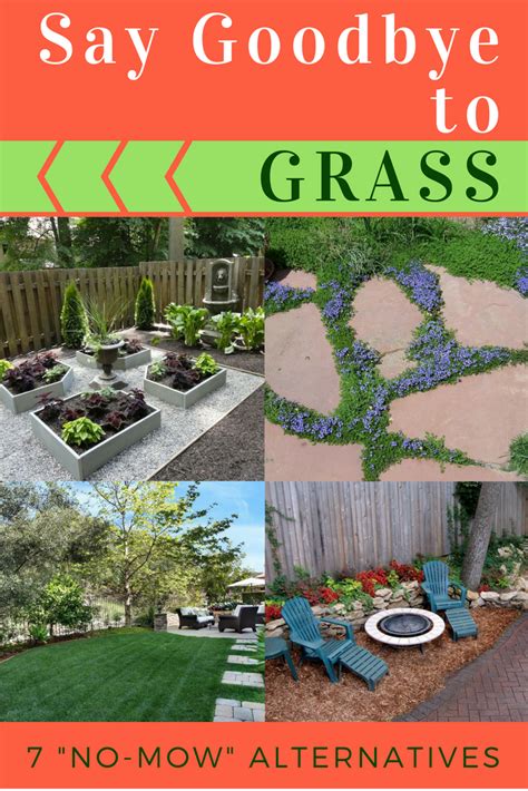 Goodbye Grass 13 Inspiring Ideas For A No Mow Backyard Backyard