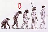 Images of Theory Of Evolution Homosapien