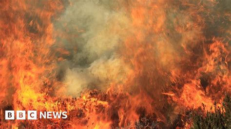 Uk Heatwave A Very Dangerous Few Days Says Dorset Fire Advisor