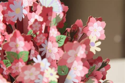 Sakura Flower Bouquet Pop Up 3d Card Mothers Day Etsy