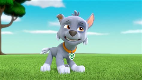 Rocky In Season 3 Paw Patrol Photo 40152844 Fanpop