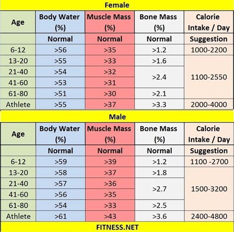 Everything About Muscle Mass Percentage With Charts