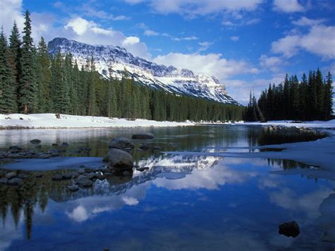 Look At Nature Bow River Castle Mountain Canada