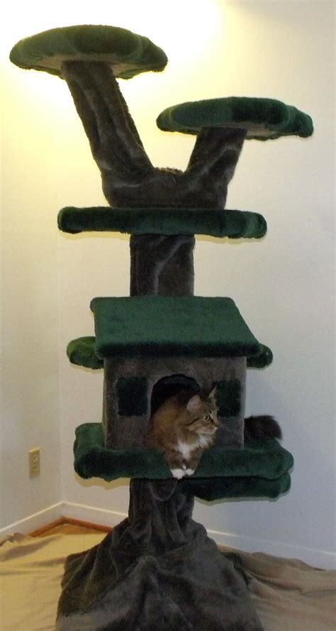 One of the ten best cat trees for crazy rich cats who enjoy luxury is a cat tree that really looks like a tree! The Ultimate CAT CARE Guide | Cat tree house, Cool cat ...