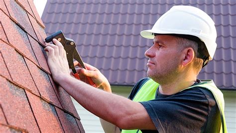 Top 5 Roof Maintenance Tips For This Fall Integrity Roofers