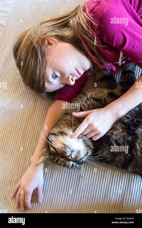 Girl Stroking Tabby Cat Stock Photo Alamy