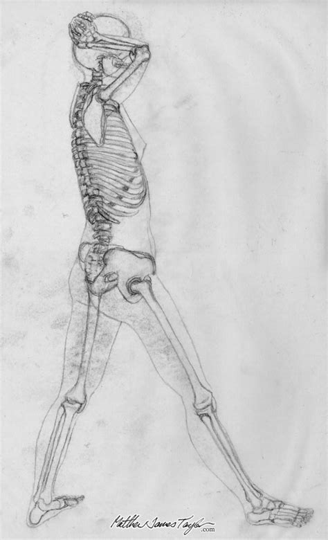 The measurement (ideal male height = eight heads) was set down during the renaissance as an idealization of the human form. Asian girl standing pose skeleton: Drawing on transparency ...