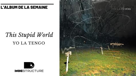 YO LA TENGO This Stupid World Album Review Bon Cru Des Rois De L