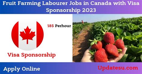 Fruit Farming Labourer Jobs In Canada With Visa Sponsorship