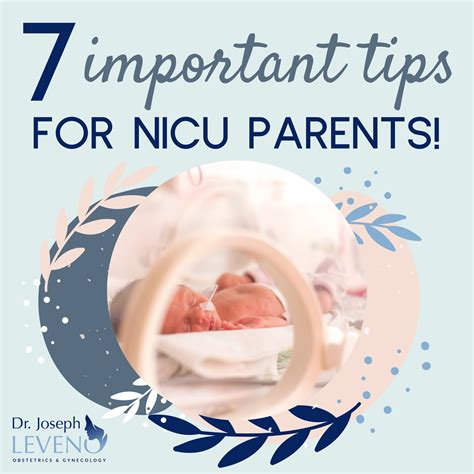 Important Nicu Baby Tips For Parents Dr Joseph Leveno
