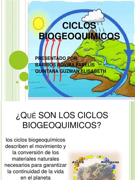 Ciclos Biogeoquimicos Pdf