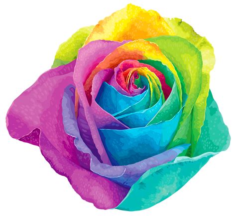 Rainbow Rose Clipart 20 Free Cliparts Download Images On Clipground 2023
