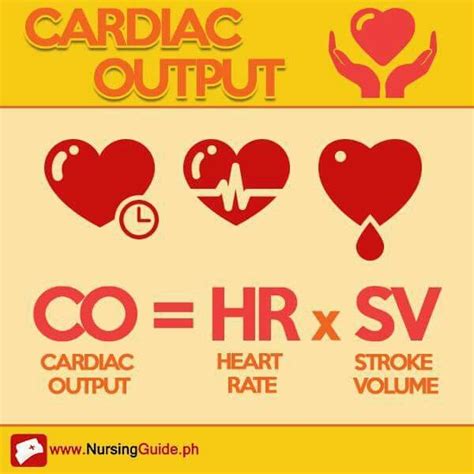 Cardiac Output Nursing Mnemonics Nursing Study Nurse Rock