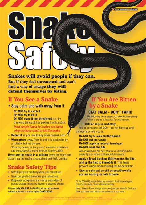 Snake Safety Safety Posters Promote Safety Health And Safety Poster