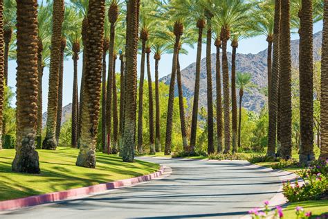 10 Absolute Best Things To Do In Palm Springs With Kids Cohaitungchi Tech