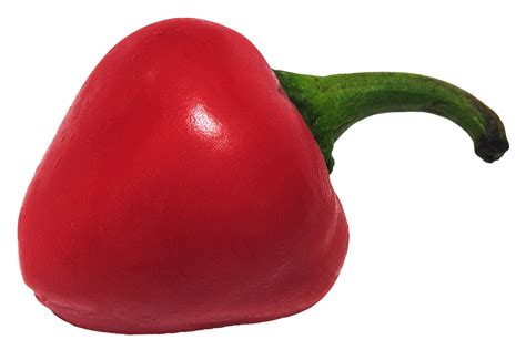 Chili Pepper PNG Image - PurePNG | Free transparent CC0 PNG Image Library