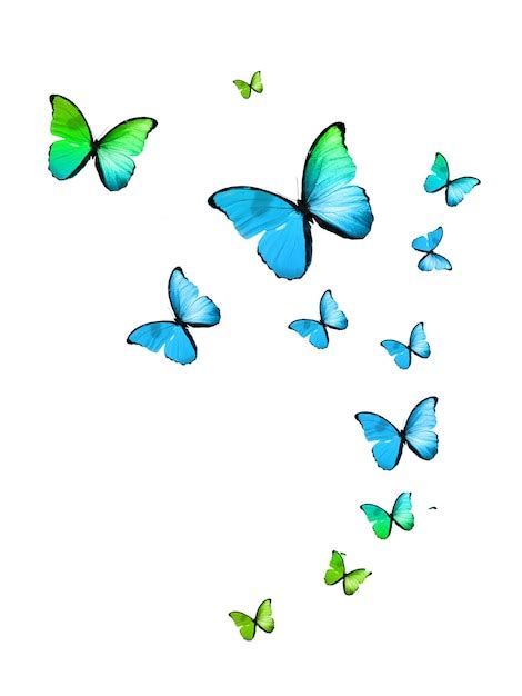 Premium Photo Tropical Flock Of Flying Colored Butterflies Isolated