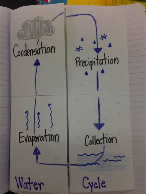 Water Cycle Foldable Ever A Teacher The Water Cycle Interactive