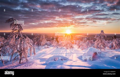 Panoramic View Of Beautiful Winter Wonderland Scenery In Scenic Golden