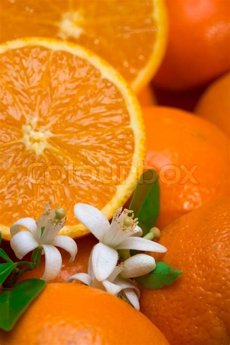 Orangen Mit Blättern Und Blüten In Stock Bild Colourbox