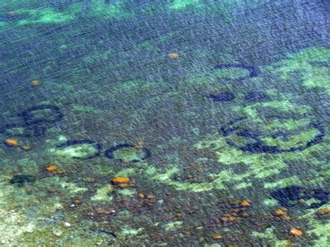 Mysterious Undersea Crop Circles Finally Explained Wired