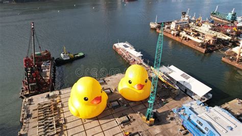 Two Giant Rubber Duckie In Hong Kong Editorial Photo Image Of Hong