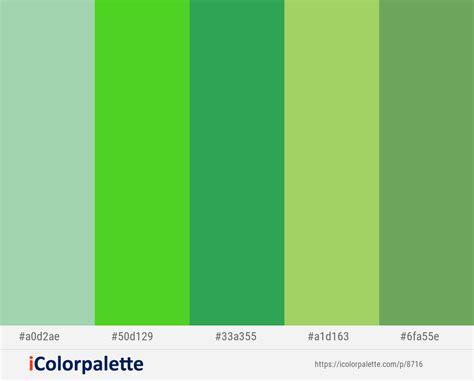 Green Colour Palette Color Palettes Green Colors Dark Sea Green