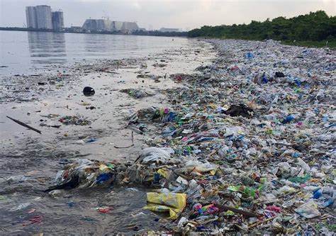 Pandemia Provocó 8 Millones De Toneladas De Residuos Plásticos