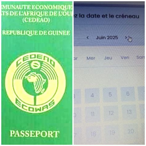 allemagne pourquoi l obtention d un rendez vous pour la confection d un passeport guinéen