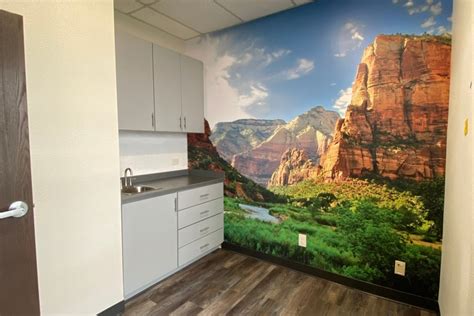 Doctor Office Wall Murals Limitless Walls