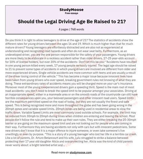 Should The Legal Driving Age Be Raised To 21 Free Essay Example