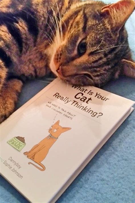 Indy Really Loves His Copy Of What Is Your Cat Really Thinking Sophie