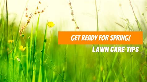 How To Prepare Your Lawn For Spring Youtube