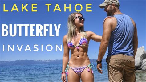 Lake Tahoe Butterfly Invasion And Nude Beach Youtube