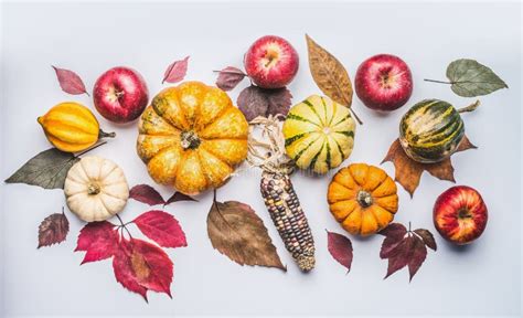 Autumn Flat Lay Composing With Pumpkin Apples And Fall Leaves Stock